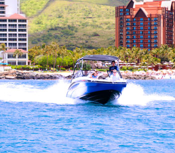 Hawaii Eco Boat Tour